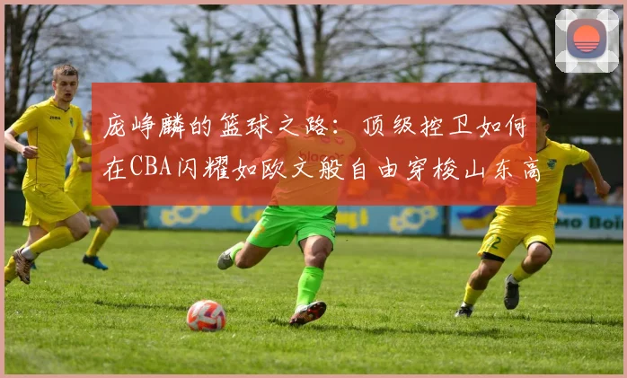 庞峥麟的篮球之路：顶级控卫如何在CBA闪耀如欧文般自由穿梭山东高速